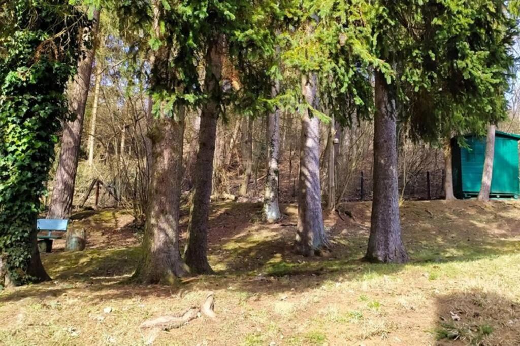 Refugium Klosterhaus Nettersheim Esterno foto